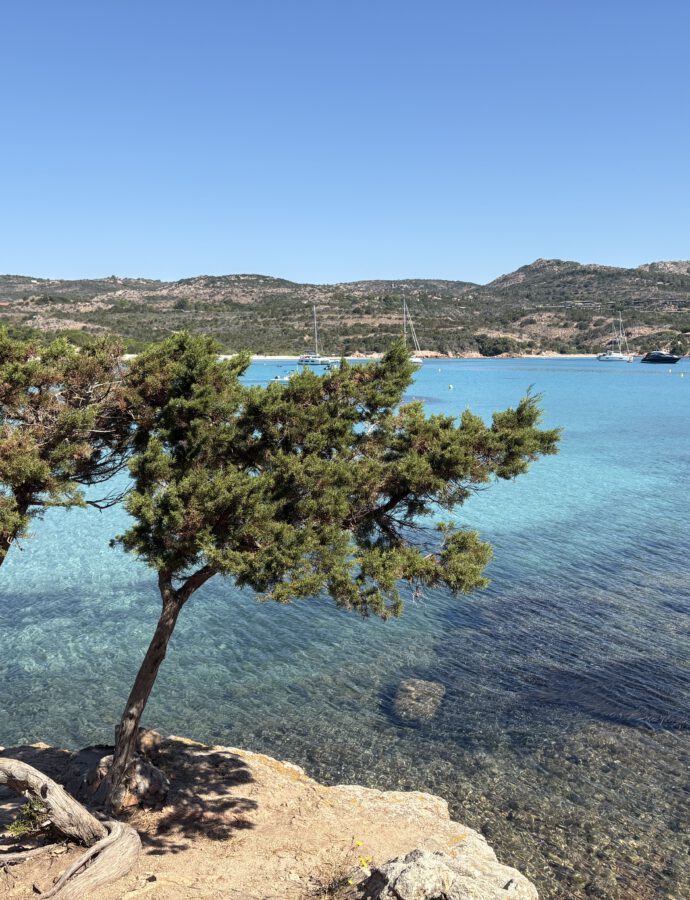 Video „Corsica, Golfo di Rondinara“